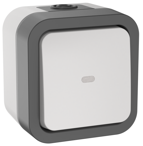 Переключатель одноклавишный с индикацией 10А IP55 TS202 серо-белый TORS IEK