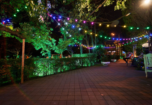 Гирлянда Белт-лайт, 10 м + 1,5м сетевой шнур. 40 патронов E27, шаг 25см. Чёрная. TM Uniel