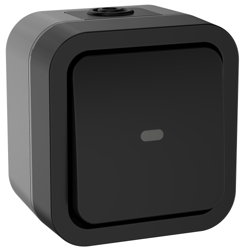 Переключатель одноклавишный с индикацией 10А IP55 TS102 графит TORS IEK