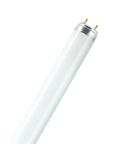 Лампа L36/76 G13 d26mm 1200mm гастрономия Osram