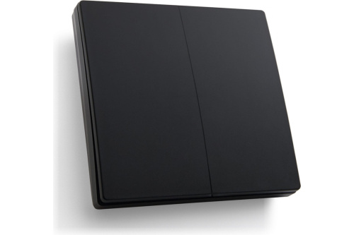 Выключатель дистанционного управления  двухклавишный, 7мВт, IP20, TM82, черный