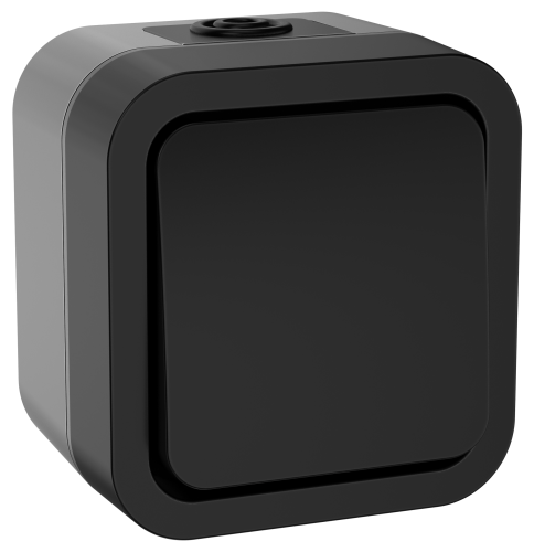 Выключатель кнопочный 10А IP55 TS110 графит TORS IEK