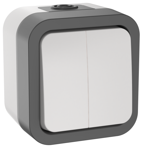 Выключатель двухклавишный 10А IP55 TS205 серо-белый TORS IEK