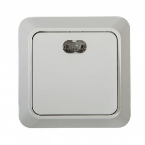 Выключатель одноклавишный с подсветкой BOLLETO белый накладной 7121 IN HOME