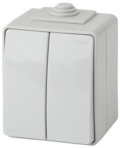 Выключатель ЭРА Эксперт 11-1604-03 двойной IP65 10АХ-250В ОУ серый