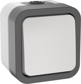 Выключатель двухполюсный одноклавишный 10А IP55 TS211 серо-белый TORS IEK