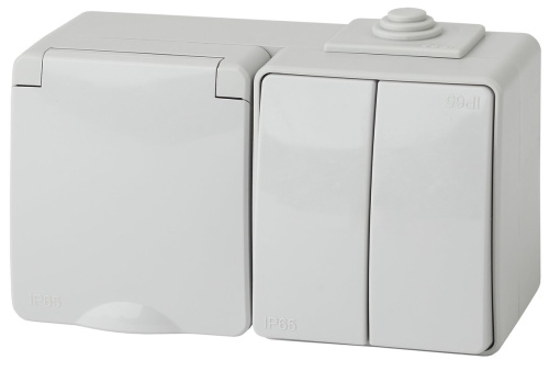 Блок розетка+выкл. двойн. гориз. IP65,16А (10АХ)-250В, ОУ, Эра Эксперт, серый,11-7602-03