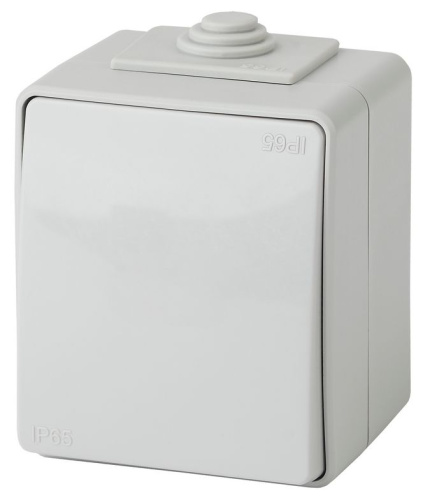 Выключатель ЭРА Эксперт 11-1601-03 IP65 10АХ-250В ОУ серый